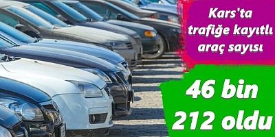 Kars'ta, trafiğe kayıtlı araç sayısı 46 bin 212 oldu