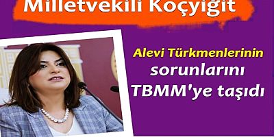 Milletvekili Koçyiğit, Alevi Türkmenleri'nin sorunlarını TBMM'ye taşıdı