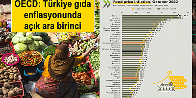 OECD: Türkiye gıda enflasyonunda açık ara birinci