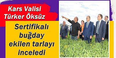 Vali Türker Öksüz sertifikalı buğday ekilen tarlayı inceledi