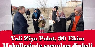 Vali Ziya Polat, 30 Ekim Mahallesinde sorunları dinledi
