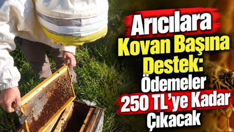 Arıcılara Kovan Başına Destek: Ödemeler 250 TL’ye Kadar Çıkacak