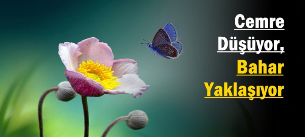 Cemre Düşüyor, Bahar Yaklaşıyor
