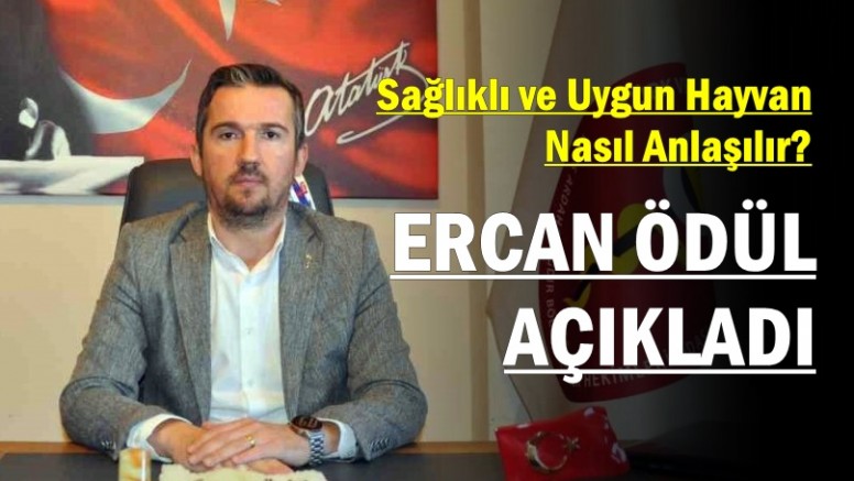 Ercan Ödül Açıkladı: Sağlıklı ve Uygun Hayvan Nasıl Anlaşılır?