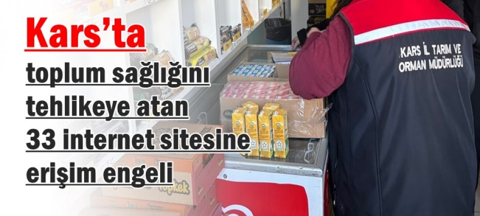 Kars'ta 33 internet sitesine erişim engeli