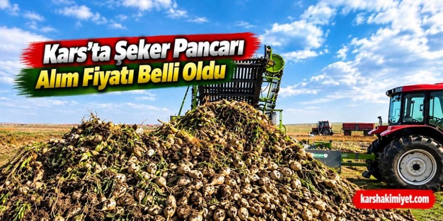 Kars’ta Şeker Pancarı Alım Fiyatı Belli Oldu