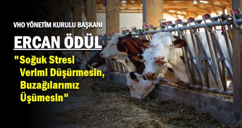 Kars VHO'dan Üreticiye Hayati Kış Uyarısı