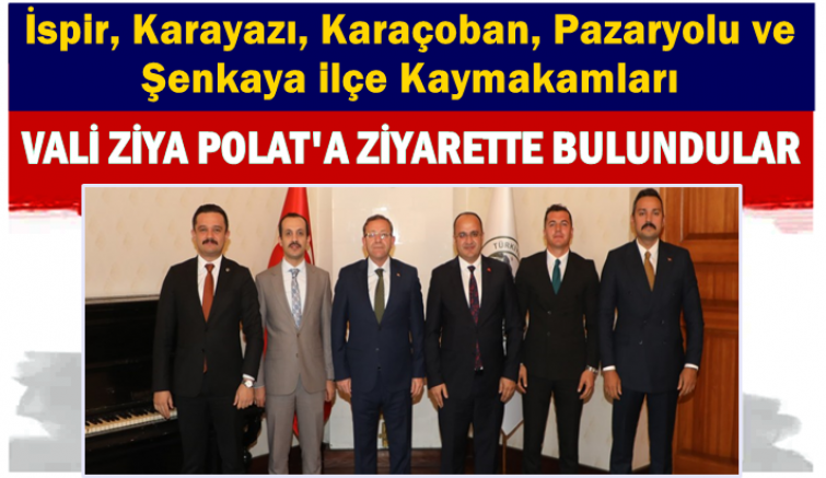 KAYMAKAMLARDAN VALİ ZİYA POLAT'A ZİYARET