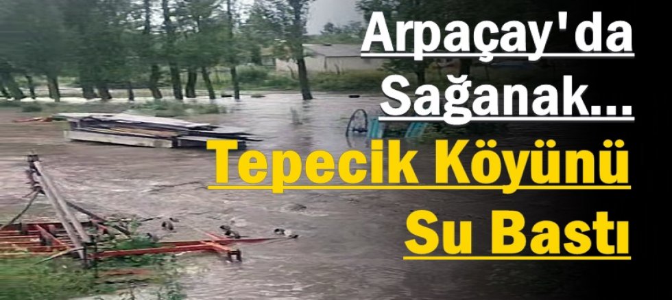 Arpaçay'da Sağanak Alarmı: Tepecik Köyünü Su Bastı