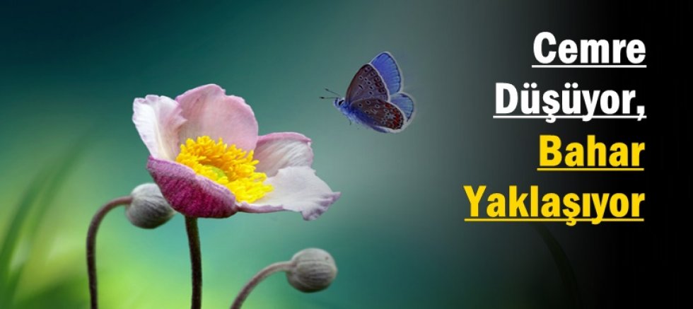 Cemre Düşüyor, Bahar Yaklaşıyor