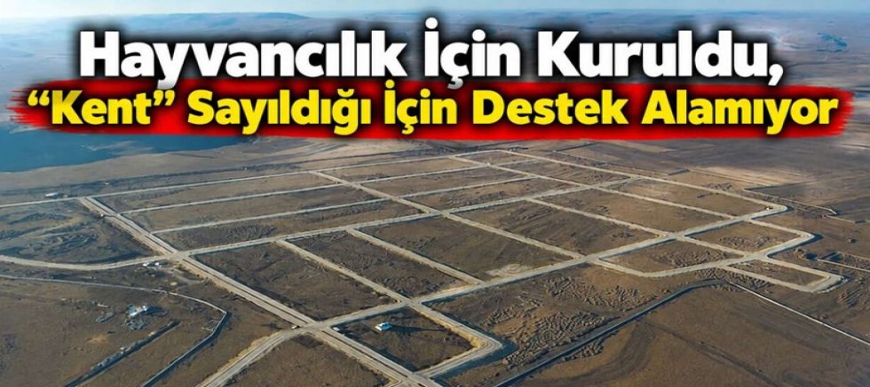 Hayvancılık İçin Kuruldu, “Kent” Sayıldığı İçin Destek Alamıyor