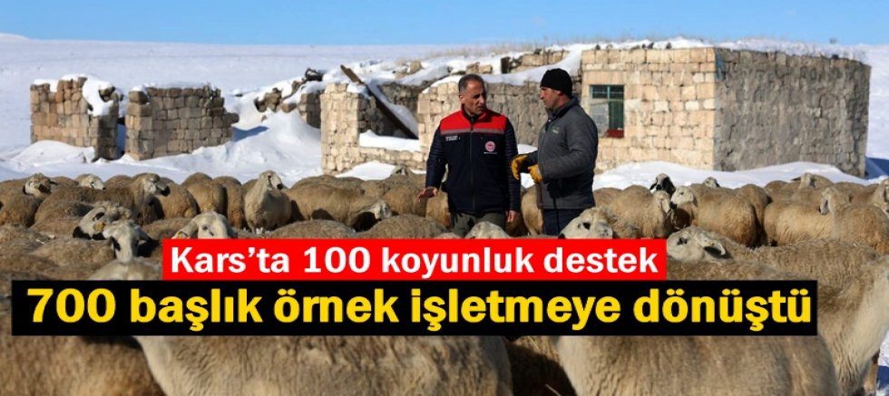 Kars’ta 100 koyunluk destek 700 başlık örnek işletmeye dönüştü