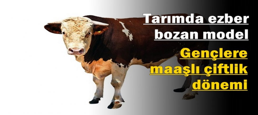 Tarımda ezber bozan model: Gençlere maaşlı çiftlik dönemi