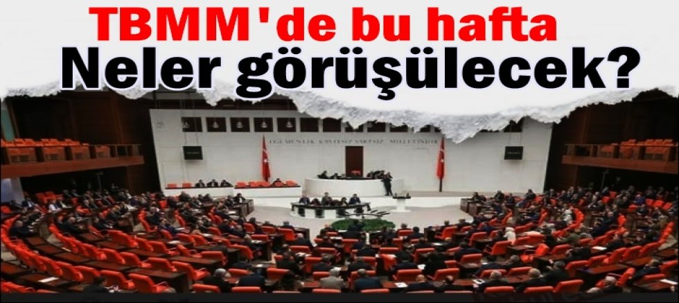 TBMM'de bu hafta neler görüşülecek?