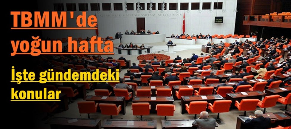 TBMM'de yoğun hafta: İşte gündemdeki konular