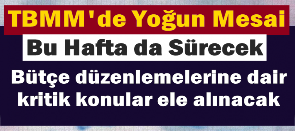 TBMM'de Yoğun Mesai Bu Hafta da Sürecek