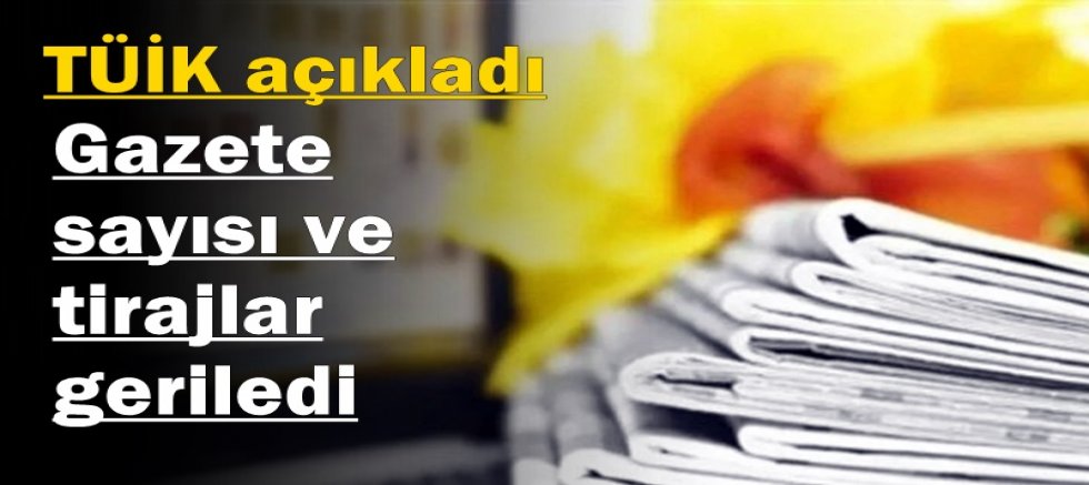 TÜİK verileri: Gazete sayısı ve tirajlar geriledi
