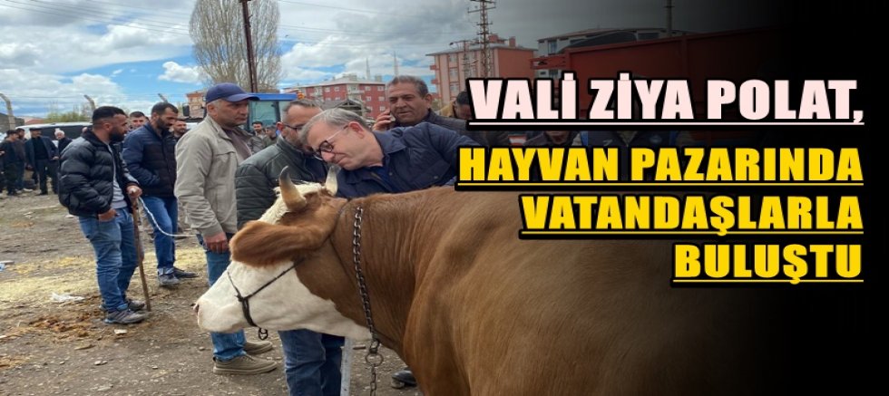 VALİ POLAT, KARS HAYVAN PAZARINDA VATANDAŞLARLA BULUŞTU