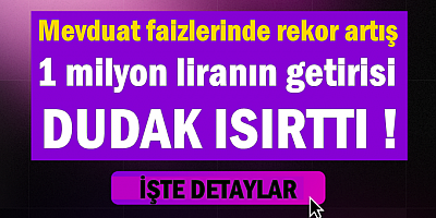 1 milyon liranın getirisi dudak ısırttı!