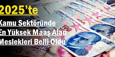 2025’te Kamu Sektöründe En Yüksek Maaş Alan Meslekleri Belli Oldu
