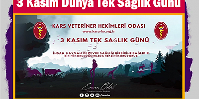 3 Kasım Dünya Tek Sağlık Günü