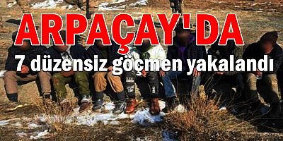7 düzensiz göçmen yapılan operasyonla yakalandı