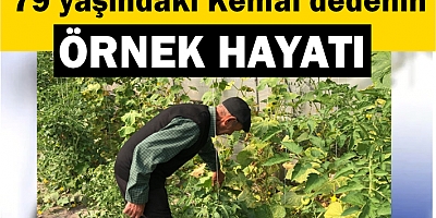 79 yaşındaki Kemal dedenin örnek hayatı