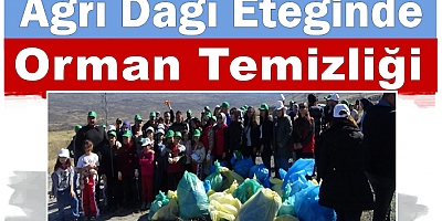 Ağrı Dağı Eteğinde Orman Temizliği