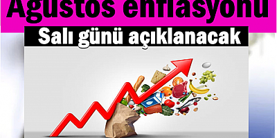 Ağustos enflasyonu salı günü açıklanacak