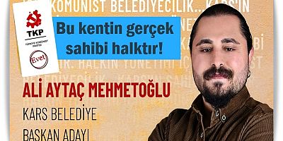 Ali Aytaç Mehmetoğlu 