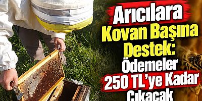 Arıcılara Kovan Başına Destek: Ödemeler 250 TL’ye Kadar Çıkacak