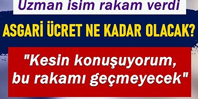Asgari ücret ne kadar olacak?