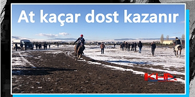 At kaçar dost kazanır