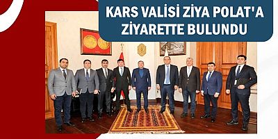 AZERBAYCAN HEYETİNDEN VALİ ZİYA POLAT'A ZİYARET
