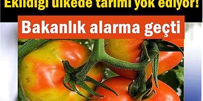 Bakanlık alarma geçti: Ekildiği ülkede tarımı yok ediyor