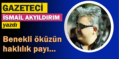 Benekli öküzün haklılık payı...