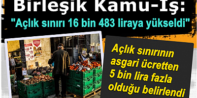 Birleşik Kamu-İş: Açlık sınırı 16 bin 483 liraya yükseldi