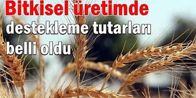 Bitkisel üretimde destekleme tutarları belli oldu
