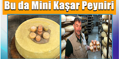 Bu da Mini Kaşar Peyniri