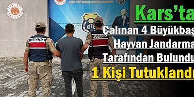 Çalınan 4 Büyükbaş Hayvan Jandarma Tarafından Bulundu