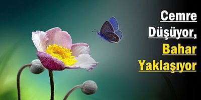 Cemre Düşüyor, Bahar Yaklaşıyor