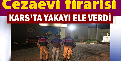Cezaevi firarisi tutuklandı