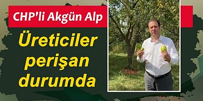 CHP'li Akgün Alp: Üreticiler perişan durumda