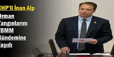 CHP’li Alp, Orman Yangınlarını TBMM Gündemine Taşıdı