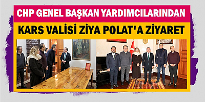 CHP'LİLERDEN VALİ ZİYA POLAT'A ZİYARET