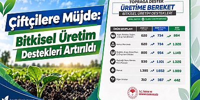 Çiftçilere Müjde: Bitkisel Üretim Destekleri Artırıldı