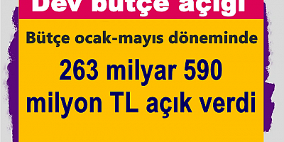 Dev bütçe açığı: 263 milyar TL