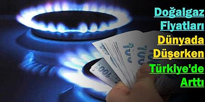 'Doğalgaz Fiyatları Dünyada Düşerken Türkiye'de Arttı'