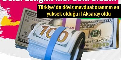 Dolar zengini iller belli oldu