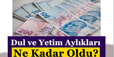 Dul ve Yetim Aylıkları Ne Kadar Oldu?